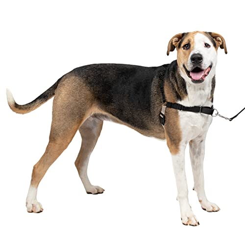 Petsafe Easy Walk, Pettorina Per Cani, Pettorina Anti-Tiro Per Cani, Per L'Addestramento Con Guinzaglio E Pettorina, Impedisce Al Cane Di Tirare E Str