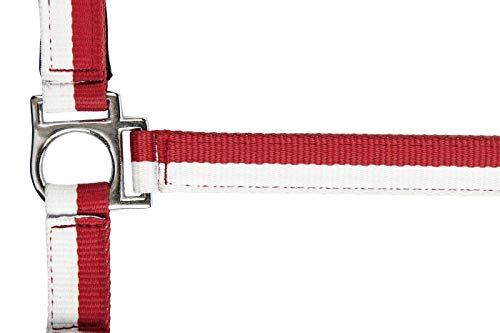 Hkm Av2022-Hkm-Nylon Fondina Flags Con Moschettone-B1Bd13F5 Cavezza, Flagge Polen-7908, Pony