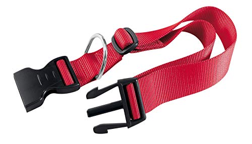 Ferplast Collare Cane Cani Nylon Regolabile Vari Colori Ferplast Club C Varie Taglie