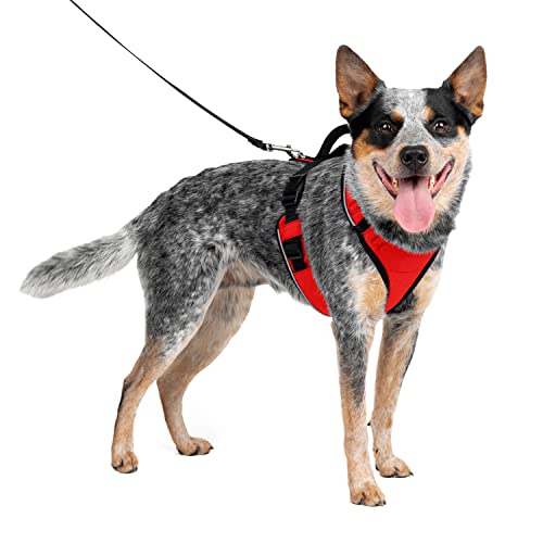 Petsafe Easysport - Arnés Para Perros Acolchado Ajustable Con Asa De Control Y Cinta Reflectante - Rojo - Mediano, M
