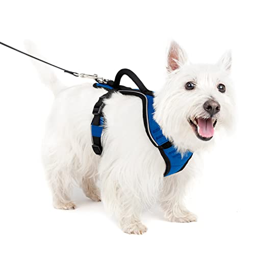 Petsafe Pettorina Easysport Petsafe: Pettorina Per Cani Piccoli Imbottita E Regolabile Con Impugnatura E Bordo Riflettente