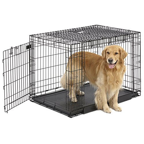 Midwest Homes For Pets Gabbia Metallica Ovation Pieghevole Per Cani Taglia Grande, Lunga 107 Cm, 2 Porte, Divisorio, Piedini Protettivi, Vaschetta A T