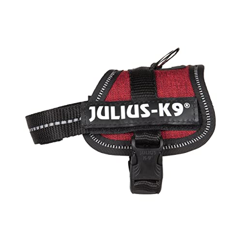 Julius-K9, Pettorina K9, Taglia: 3Xs/Baby 1, Colore: Rosso (Borgogna)