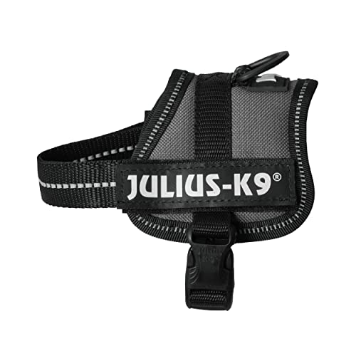 Julius-K9, Pettorina K9, Taglia: 3Xs/Baby 1, Colore: Antracite