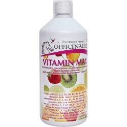 Officinalis Vitamineral Max 1Kg - 1 Kg