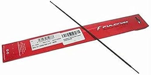 Fulcrum Tuerca Rad. R0-015 (Kit10) R/Zero '10/11, Set Ruote Unisex Adulto, Nero, Taglia Unica