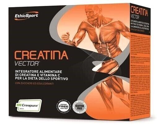 EthicSport Creatina Vector 20x8 g Buste Creatina Vitamina C Dieta Sportivo