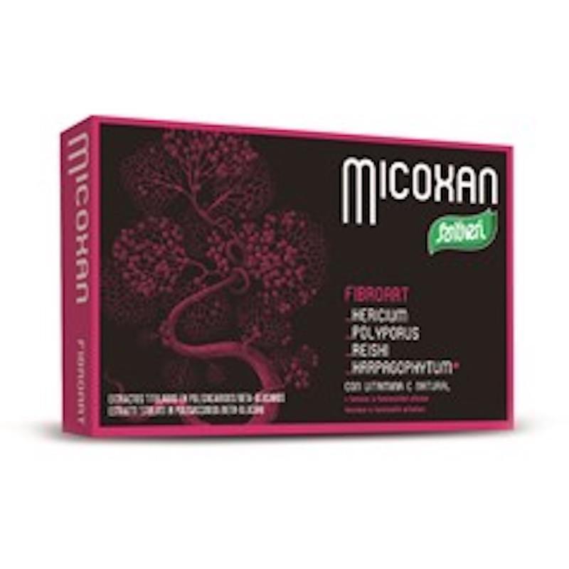 Santiveri - MICOXAN Fibroart 40 capsule