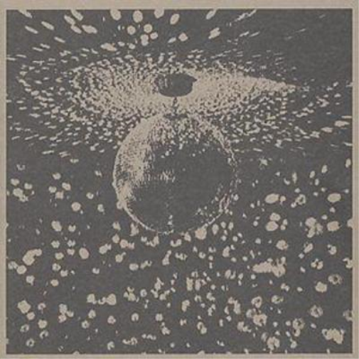 Neil Young Mirror Ball (CD) Album