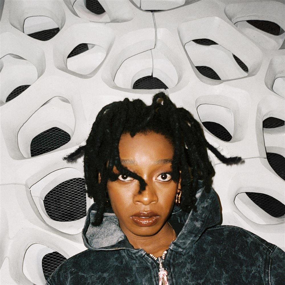 No Thank You - Little Simz (Audio Cd)