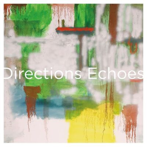 Directions Echoes (Vinyl LP) Anniversary  12" Single