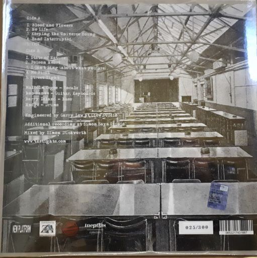 THE TIGHTS - TV, WORK & BED - LP NERO NUMERATO NEWPLATFORM