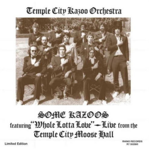 Temple City Kazoo Orchestra Some Kazoos (Vinyl LP) Limited  12" Single
