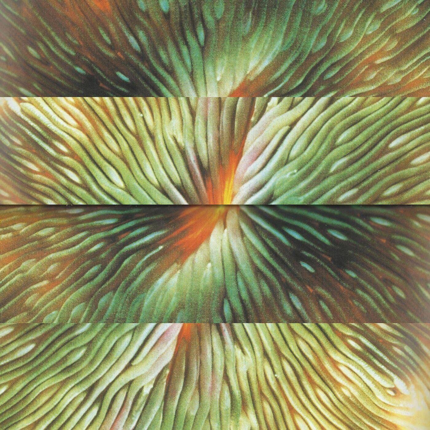 Active Surplus Mirroring (Vinyl LP)
