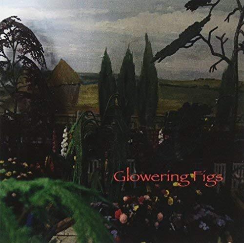 Glowering Figs Glowering Figs CD NEW