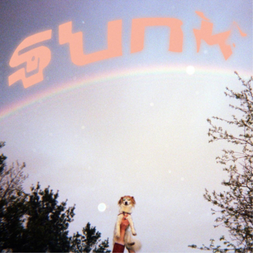 Babehoven Sunk (CD) Album (Jewel Case)