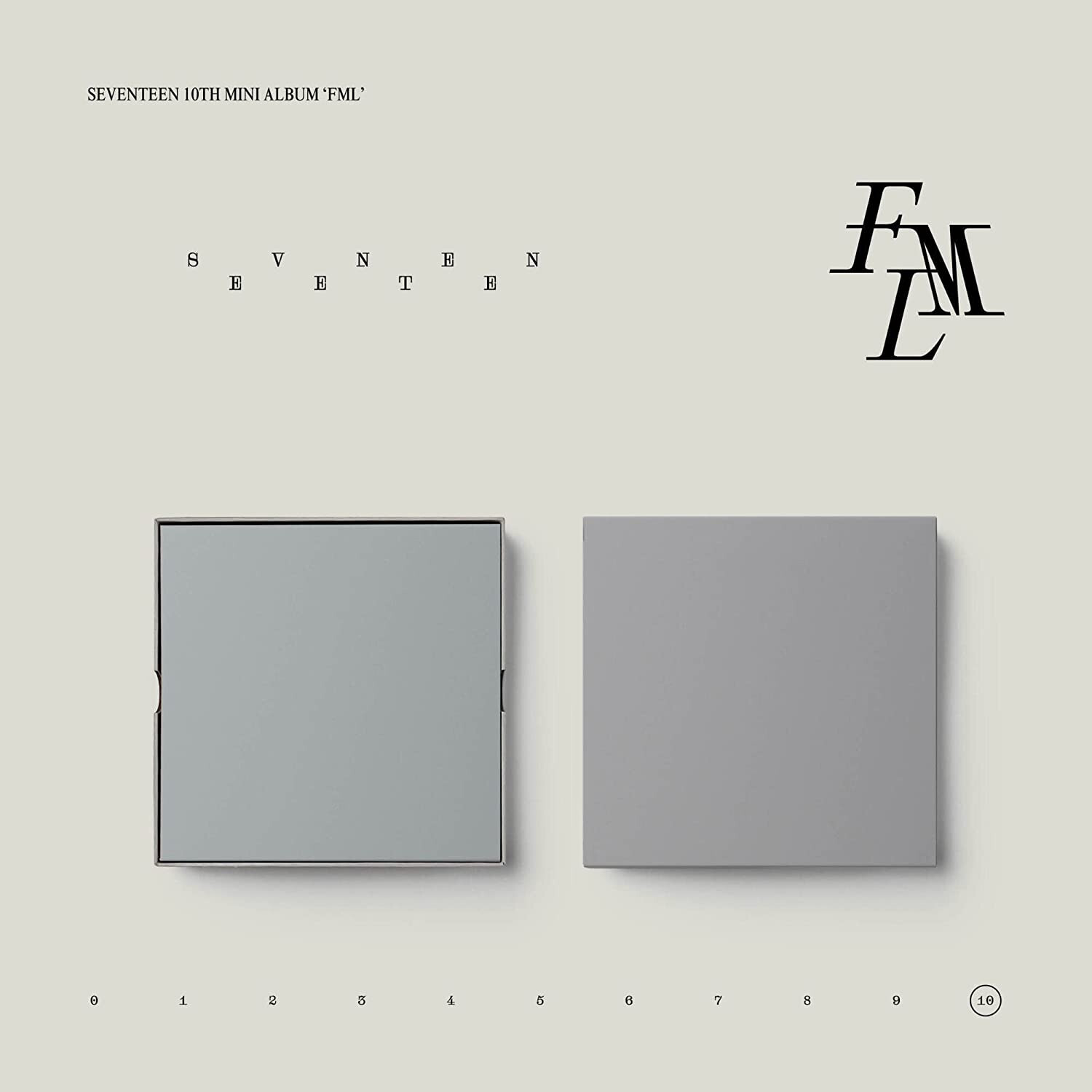 Seventeen Fml (C Version) Cd+Outbox+Photo Book 88 Pg+Lyric Book 12 Pg.+Poster