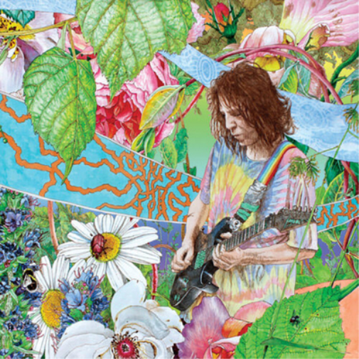 Ed Wynne Shimmer Into Nature (Vinyl LP) 12" Album