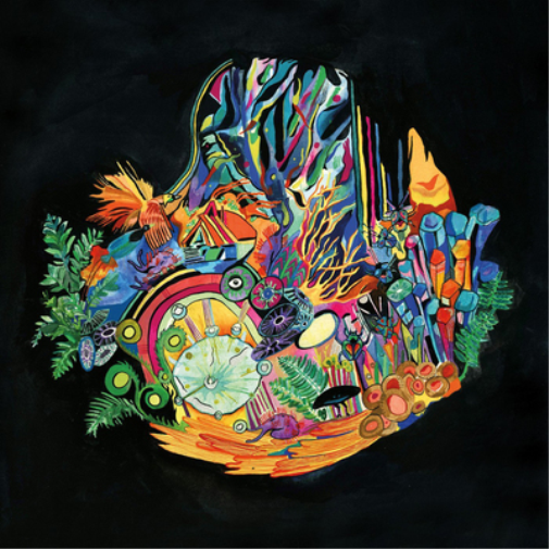 Kaitlyn Aurelia Smith Ears (Vinyl LP) 12" Album