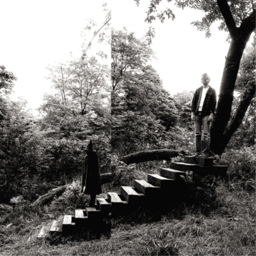 TIMBER TIMBRE TIMBER TIMBRE (CD) Album