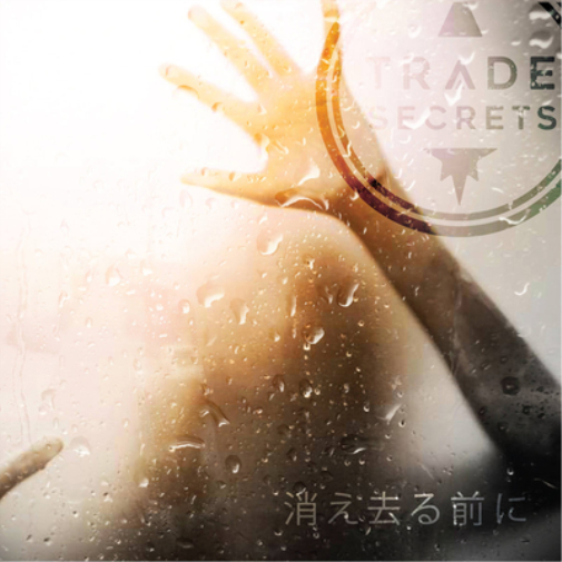 Trade Secrets Before We Vanish (CD) Album
