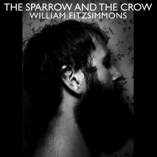 William Fitzsimmons The Sparrow and the Crow (Vinyl LP)
