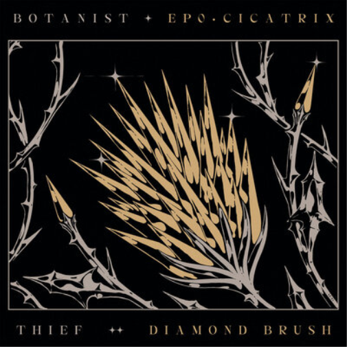 Botanist/Thief Cicatrix/Diamond Brush (CD) Album