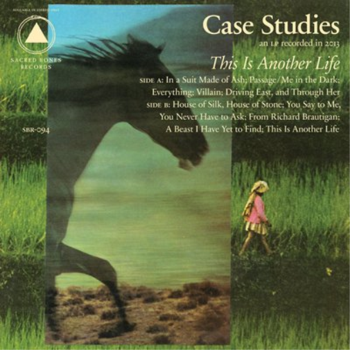 Case Studies This Is Another Life (Vinyl LP) 12" Album