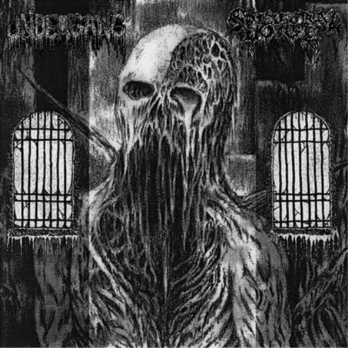 Undergang/Spectral Voice Undergang/Spectral Voice (CD) Album