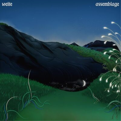 Weite Assemblage (Vinyl LP) 12" Album