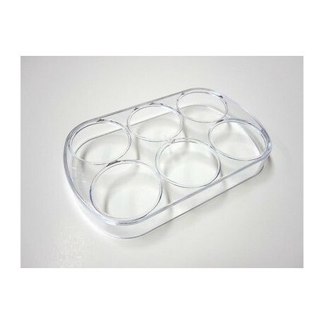 CASSETTO PORTAUOVA FRIGORIFERO FREEZER FRIGO ARISTON INDESIT ORIGINALE C00090981
