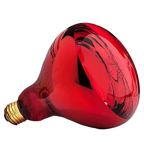 Boston Technology WE-108 Lampada Flessibile Infrarossi per Termoterapia, (I2Z)