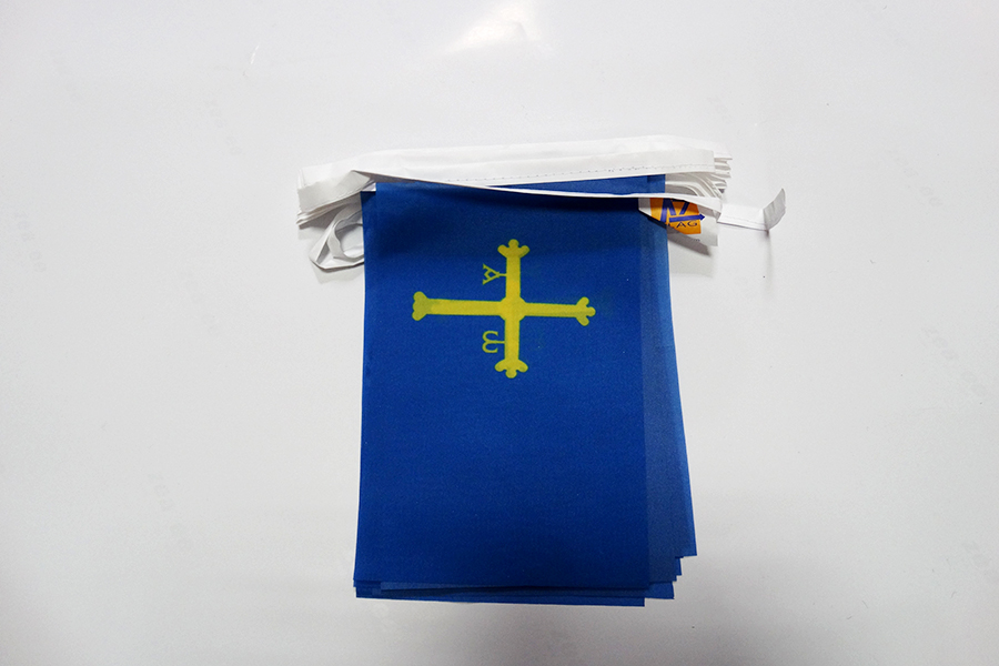 GHIRLANDA 6 metri 20 BANDIERE ASTURIE 21x15cm - BANDIERA PRINCIPADO DE ASTURIAS