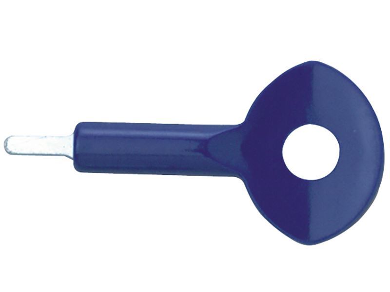 Serrature Yale - P122 Window Lock Key (P113)