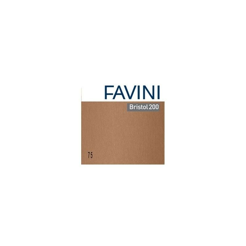Confezione 10 cartoncino Bristol Color 200 gr 100x70 cm MARRONE 75 Favini