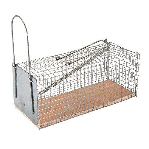 FIXMAN NASSE PIEGE A Souris 197512 (R1W)