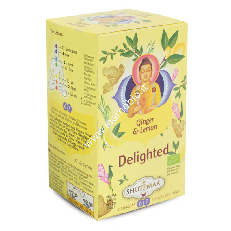 Tisana Ayurvedica Zenzero e Limone -  6° e 7° Chakra