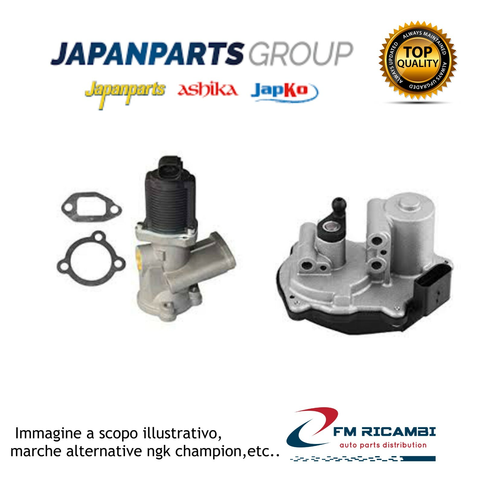 EGR-0502 JAPANPARTS Valvola EGR RE.GRAND SCENIC