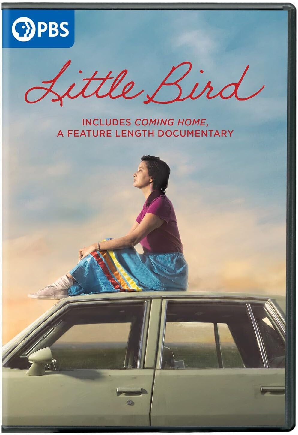Little Bird (DVD) Darla Contois Ellyn Jade Eric Schweig