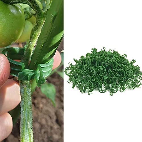 200 Pezzi Clip per Piante da Giardino Garden Trellis Plant Pomodoro (H7M)