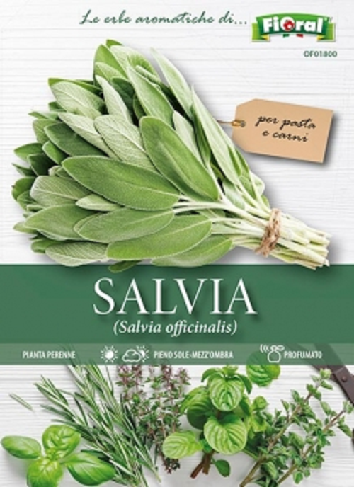 FIORAL SALVIA (Salvia Officinalis) Linea buste Fiori Aromatiche-Officinali