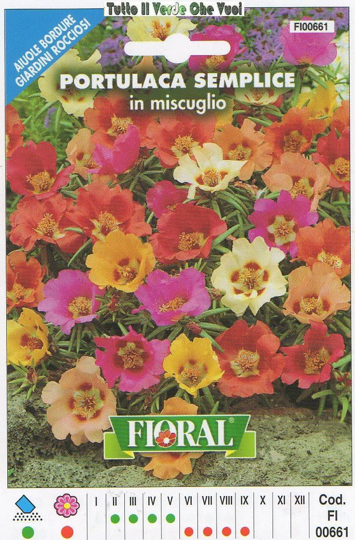 PORTULACA SEMPLICE  - AIUOLE BORDURE GIARDINI ROCCIOSI-FLORAL - BUSTA SEMENTI