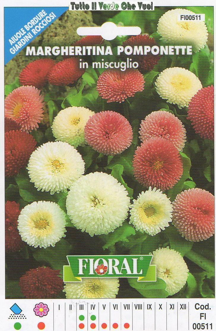 MARGHERITINA POMPONETTE MISCUGLIO AIUOLE BORDURE ROCCIOSI-FLORAL - BUSTA SEMENTI