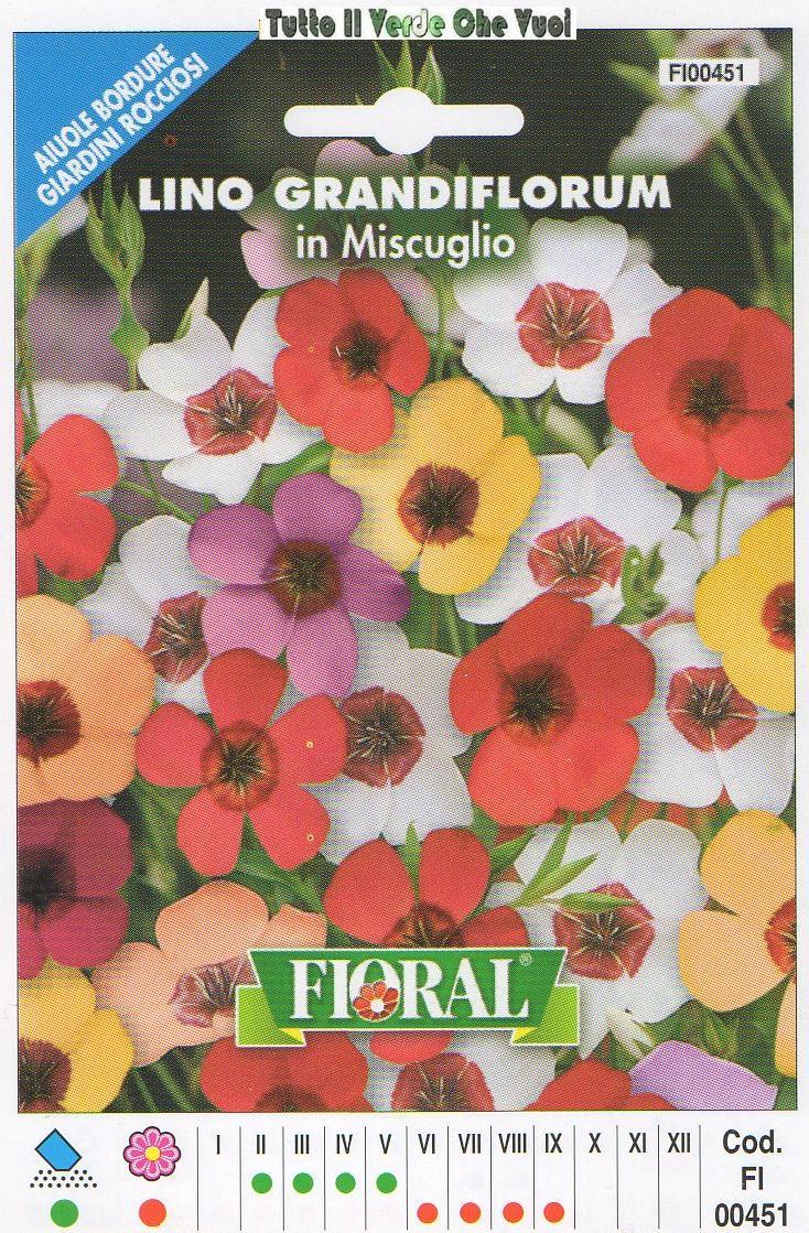 LINO GRANDIFLORUM IN MISCUGLIO - AIUOLE BORDURE ROCCIOSI-FLORAL - BUSTA SEMENTI