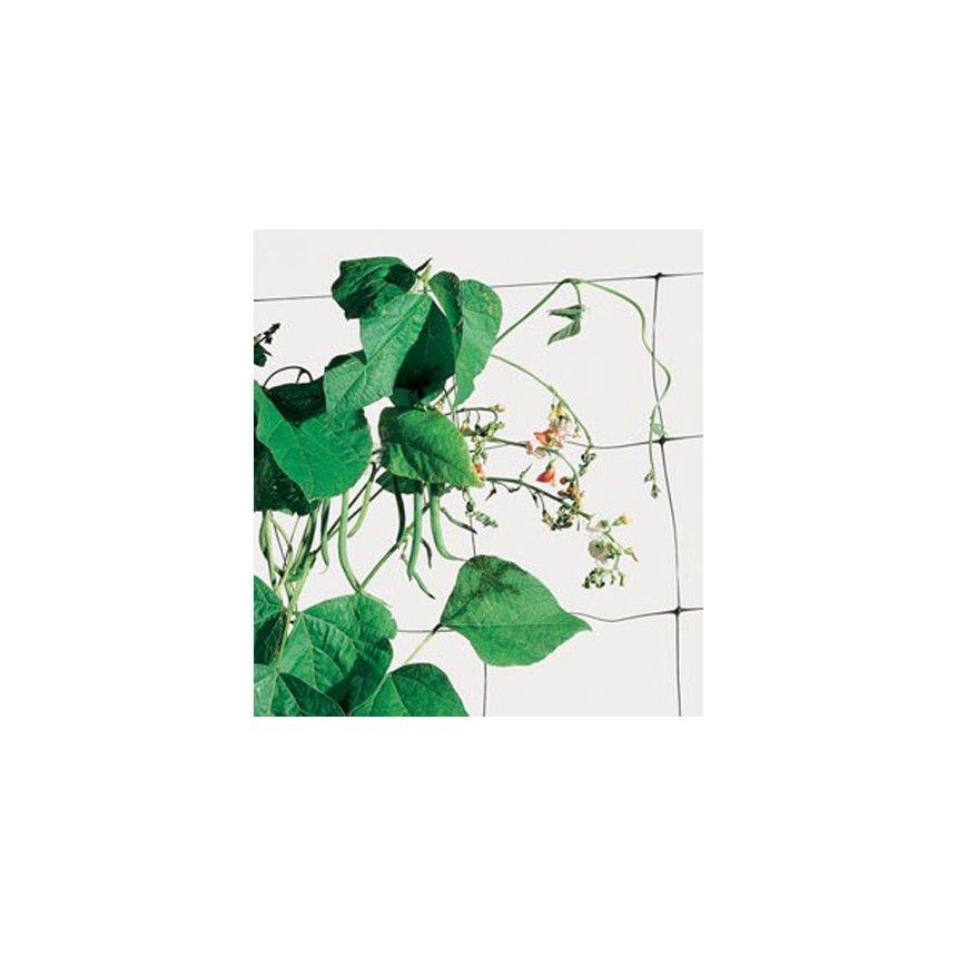 Tenax Rete Plastica Flora Mt 2,00X 20