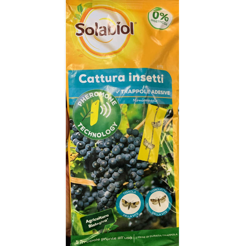 Solabiol Cattura Insetti Vite Trappole adesive con feromone 5pz