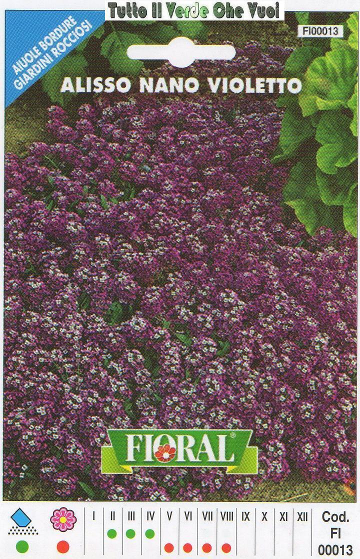ALISSO NANO VIOLETTO - AIUOLE BORDURE ROCCIOSI-FLORAL - BUSTA SEMENTI