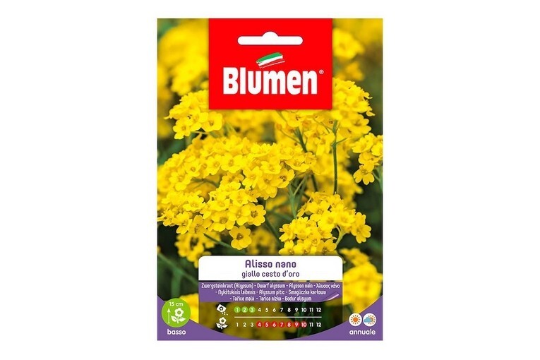 SEMI BLUMEN ALLISSO NANO GIALLO