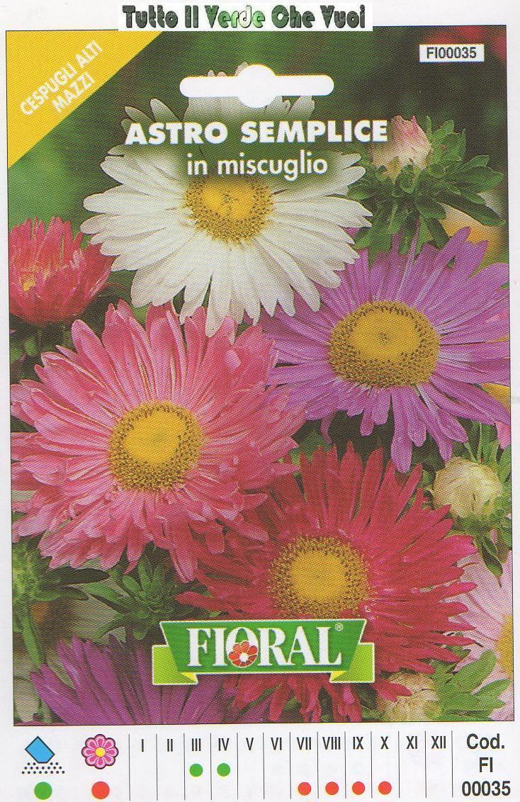ASTRO SEMPLICE MISCUGLIO -CESPUGLI ALTI E MAZZI-FLORAL - BUSTA SEMENTI