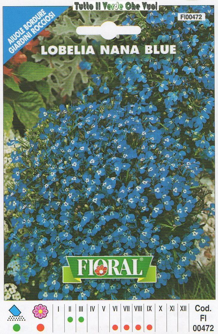 LOBELIA NANA BLUE - AIUOLE BORDURE ROCCIOSI-FLORAL - BUSTA SEMENTI